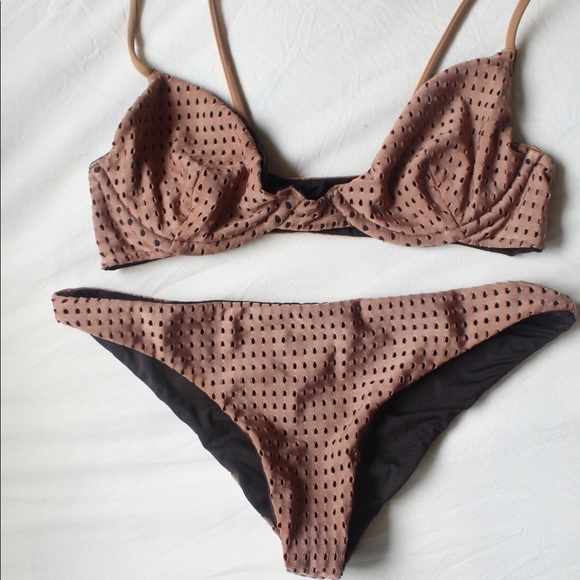 Acacia - Picture 1 of 4